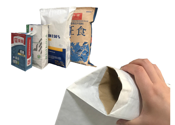 Bolsas de papel 15kg 20kg 25kg de Clay Granular Absorbent Pasted Valve Multiwall