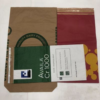 Logotipo de impresión personalizado Bolsas de papel de paredes múltiples A prueba de humedad